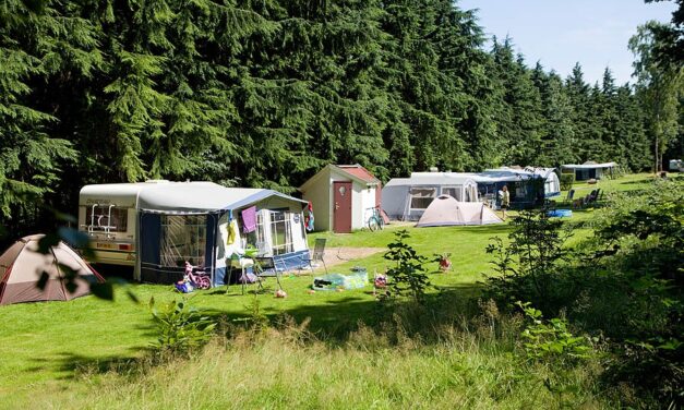 Campings Veluwe